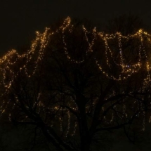 klobuck_1_061_KS3_0436