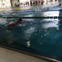 254808982_3050941585184720_3683180460905444971_n