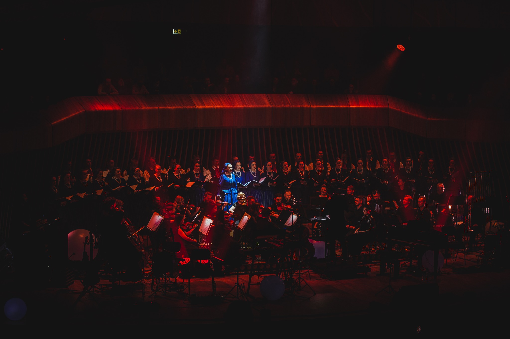 274956706_516894299800310_9209608117269428370_n