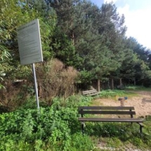 300372682_467809278312983_5743414024894226535_n