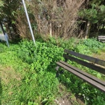 301024919_1432111627274183_6398542142844515900_n