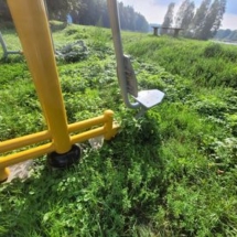 301070468_615796539899688_5062593807281812318_n