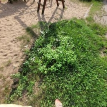 301400639_2912206075749613_7237118132606974069_n