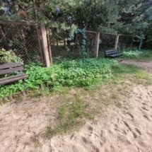 301425025_419716873586500_8193754920942351716_n