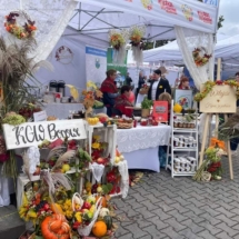 308849983_4785359841567194_3844914351661200171_n