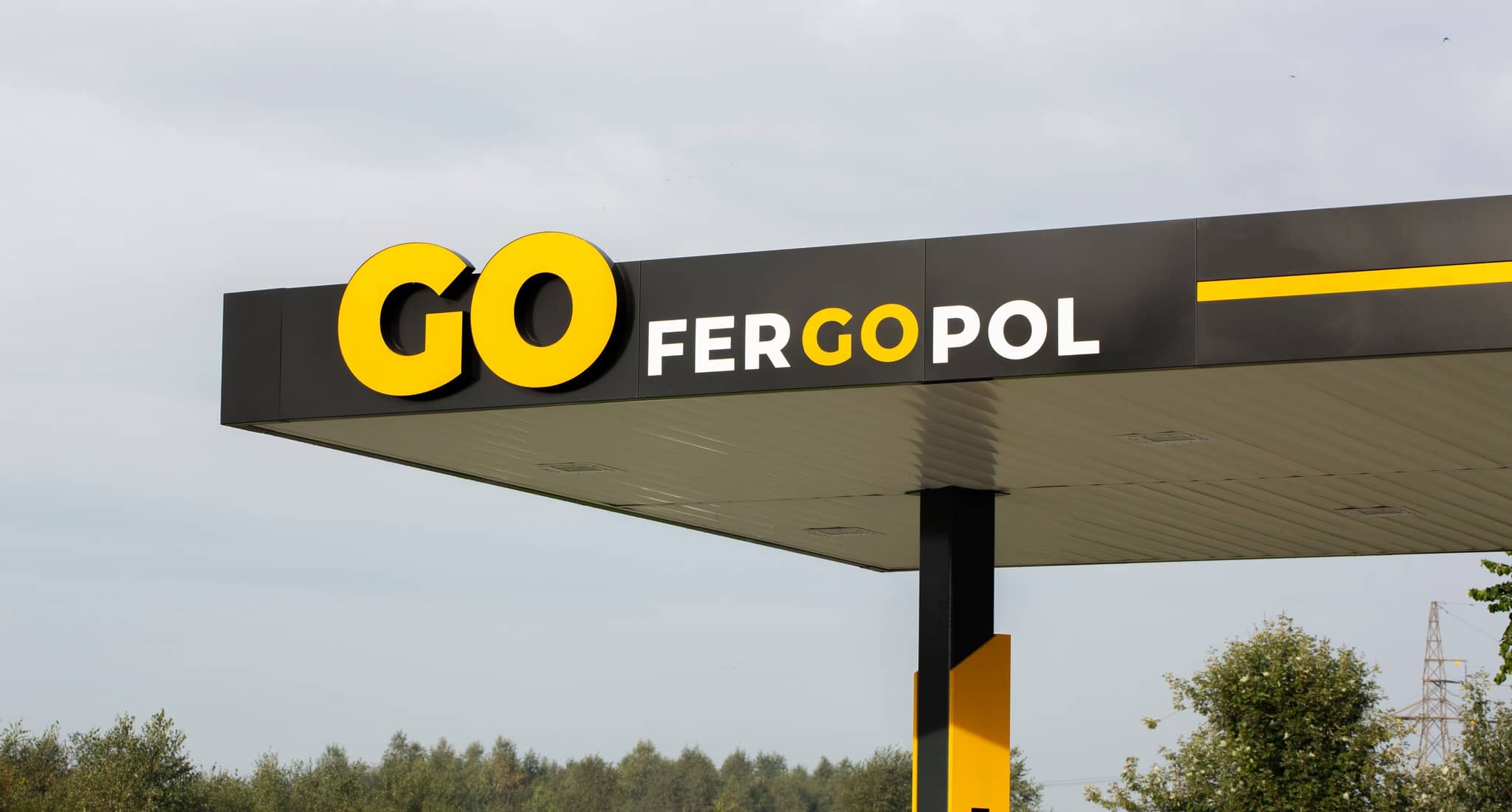 310753675_521060670028023_2356074940582061406_n